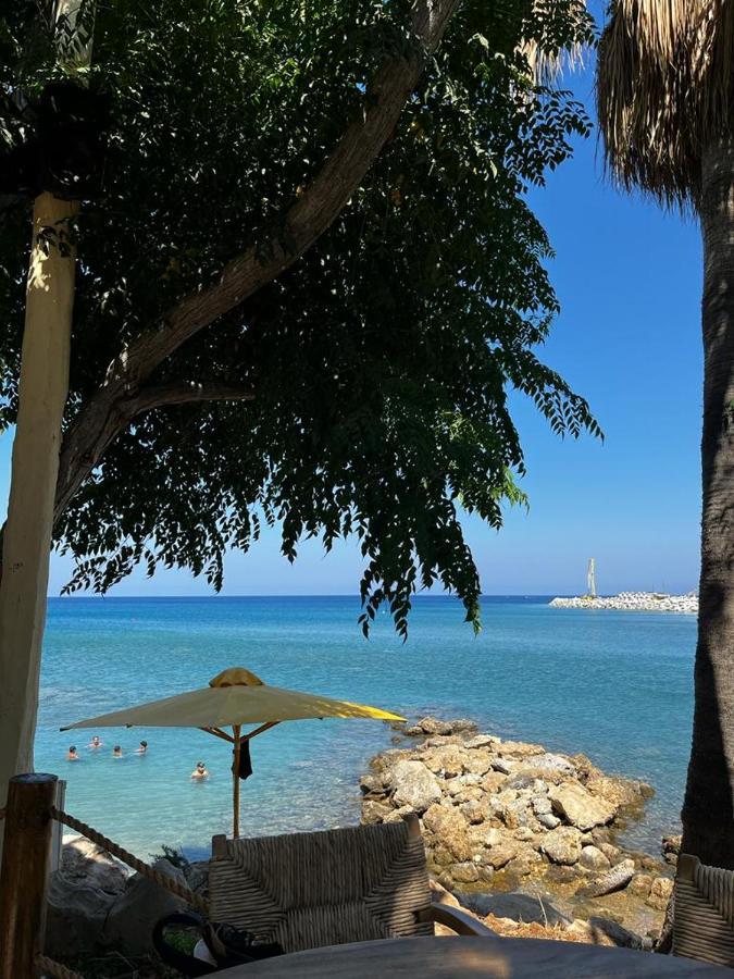 Viking Family Superior Lux Apartment Ayia Napa Ngoại thất bức ảnh