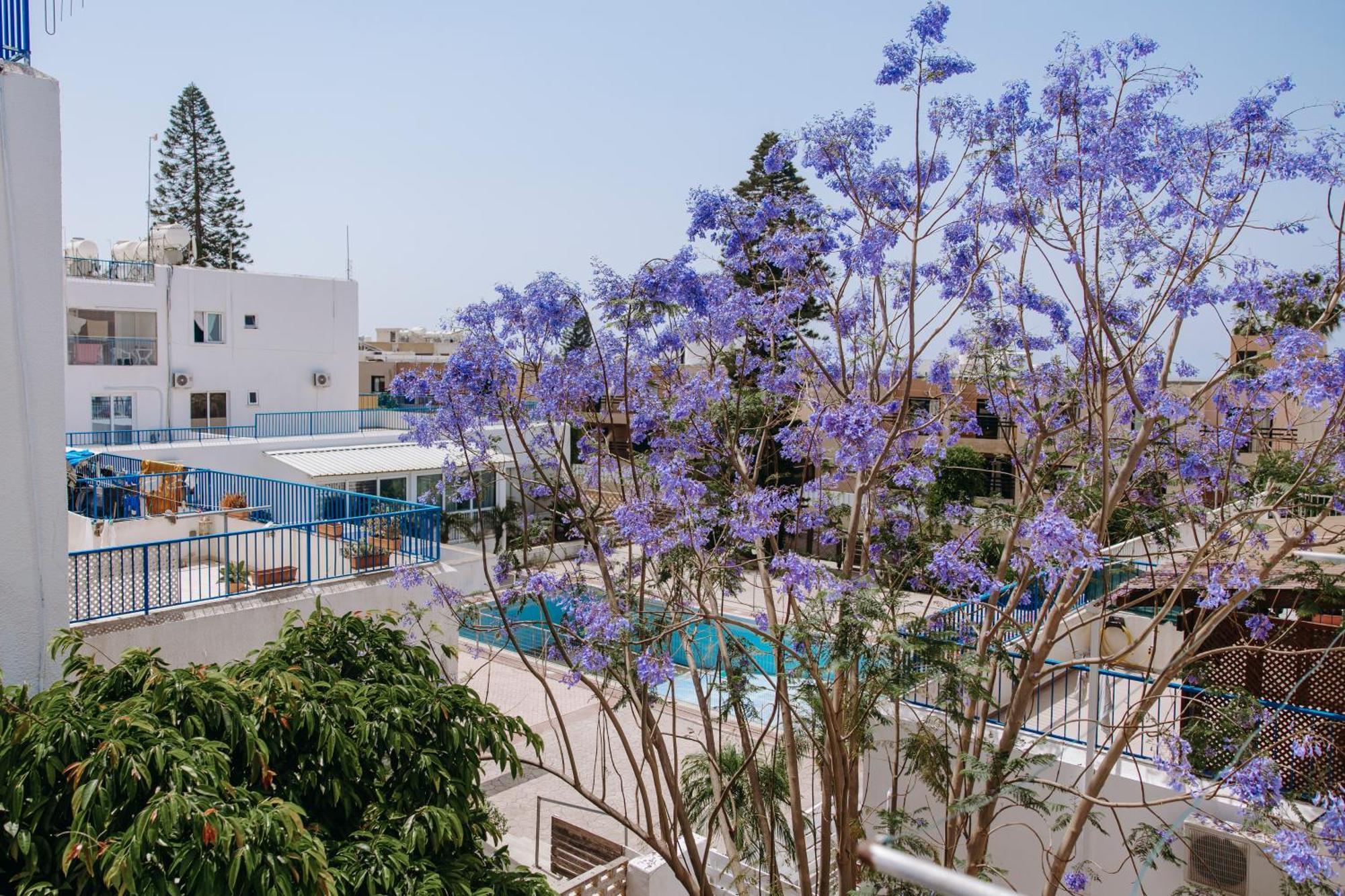 Viking Family Superior Lux Apartment Ayia Napa Ngoại thất bức ảnh